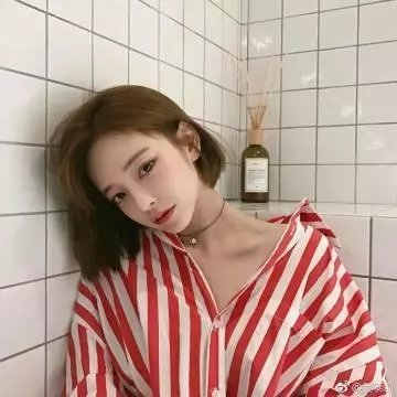 玫瑰